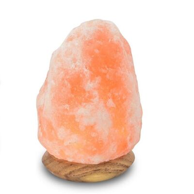 Himalaya Salt Dreams Lampe Himalaya-Salz-Holzsockel – 42004 – 18 cm hoch – Orange
