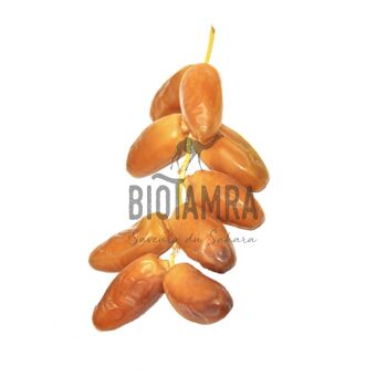 BIO * - Fresh Deglet Nour dates from Algeria 500g twigs. Cat. Extra 2