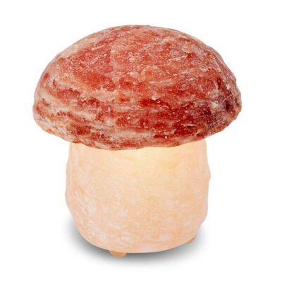 Himalaya Salt Dreams Salzlampenpilz, 45054, 16 cm hoch