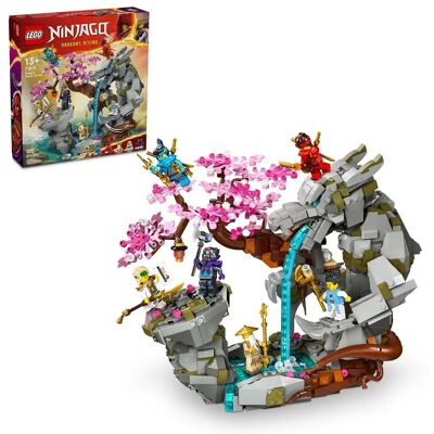 LEGO 71819 - Santuario del Dragón Ninjago de Roch