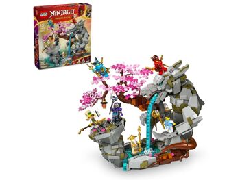 LEGO 71819 - Sanctuaire Roch Dragon Ninjago