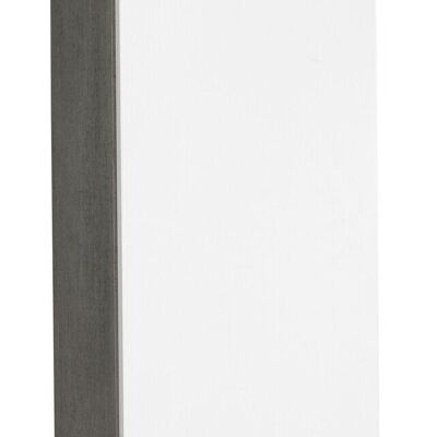 COMPOSADO | Mueble de Pared Vertical de la Línea MODELLO con 2 Estantes, Mueble de Pared Moderno, para Salón, Baño, (AnxAlxPr) 35x110x30 cm, Color Lacado Blanco y Gris Cemento, Made in Italy