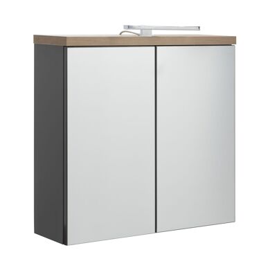 COMPOSAD | Mirror from the MUNDI Line with 2 Mirrored Doors and LED Lighting, Modern Bathroom Cabinet, (WxHxD) 70x66.8x22 cm, Lacquered Titanium Gray and Honey Oak, Made in Italy