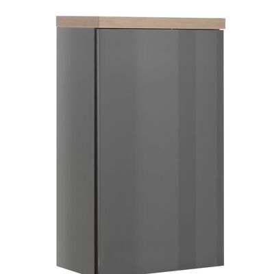 COMPOSAD | Bathroom wall unit from the MUNDI line, with 1 door, bathroom cabinet, cabinet, elegant and modern, (WxHxD) 39.6x66.8x22 cm, Lacquered Titanium Gray and Honey Oak, Made in Italy