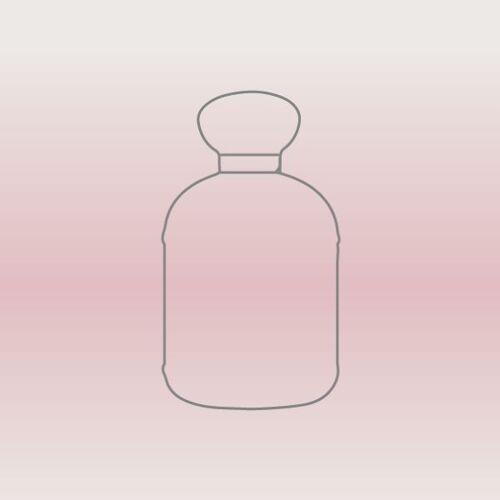 2033 CAN - Generic perfumes - Women