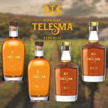 Cognac Telesma - VS 3