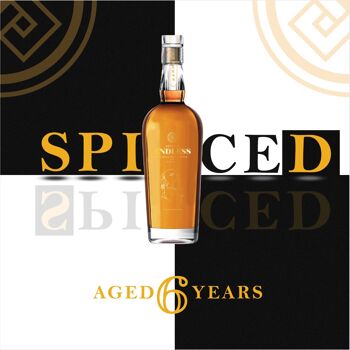 Endless Armagnac - Âgé 6 ans - Spiced 3