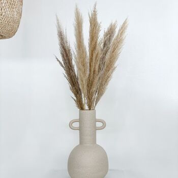 Herbe de pampa beige naturel | pour vase de table 1