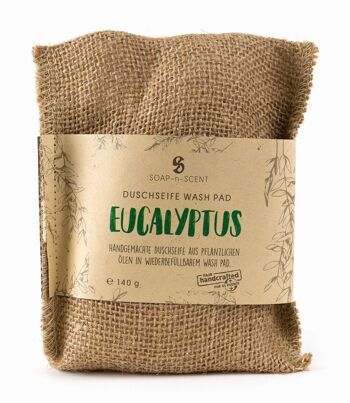 Tampon de lavage « Eucalyptus »