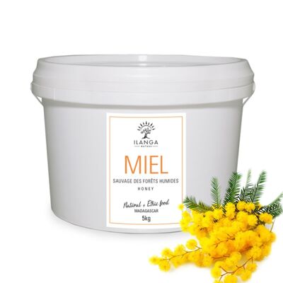 Miel de Bosque Húmedo 5Kg