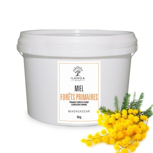 Miel de Forêts Primaires 5Kg