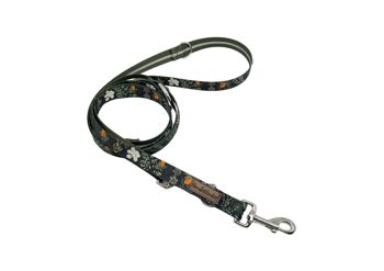 Laisse pour chien Forest Walkies (rPet) 3m or/argent 2