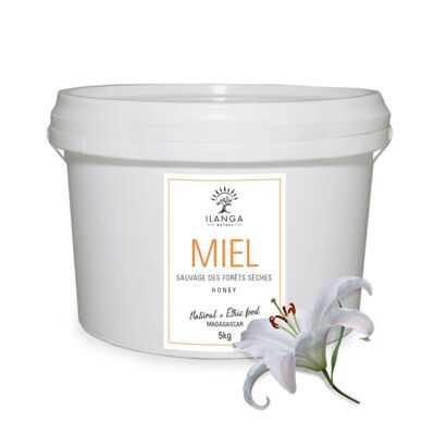 Miel de Bosque Seco 5Kg