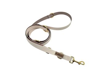 Laisse pour chien beige (rPet) 3m or/argent 1