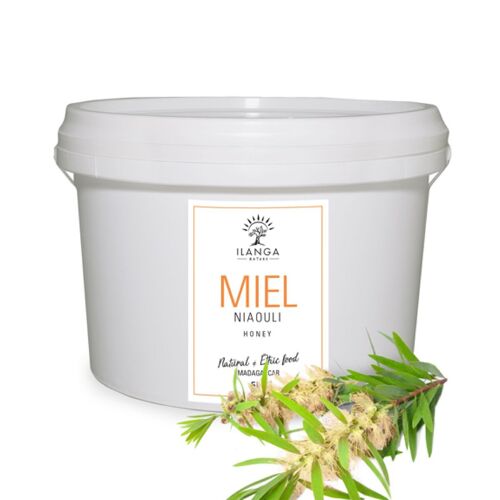 Miel de Niaouli 5Kg