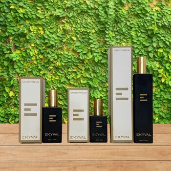 2200 LLVB - Parfums génériques - Femme 2