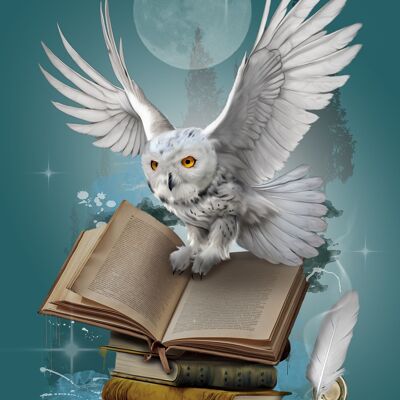 The owl of magic words