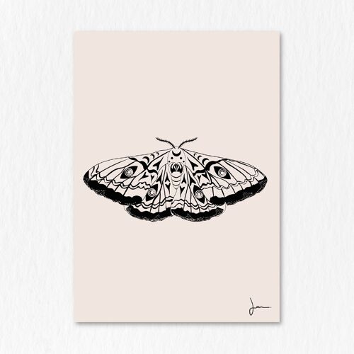 Affiche Papillon sphinx à tête de mort - Illustration ésotérique mystérieuse - Art animal ésotérique - Mythologie