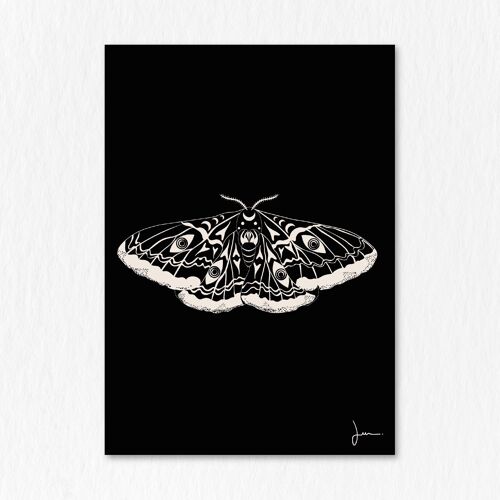 Affiche Papillon sphinx à tête de mort - Illustration ésotérique mystérieuse - Art animal ésotérique - Mythologie
