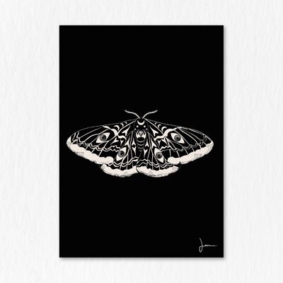 Cartel de mariposa esfinge con calavera - Ilustración esotérica misteriosa - Arte animal esotérico - Mitología