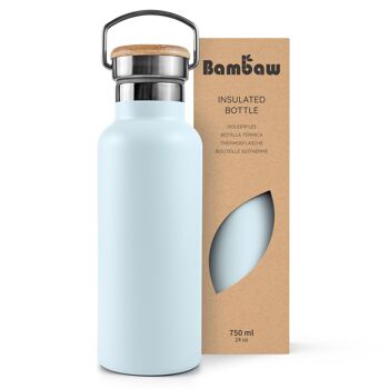 Stainless steel insulated bottle 31