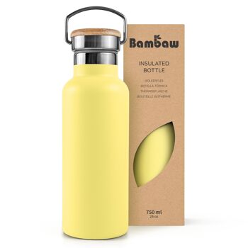 Stainless steel insulated bottle 36