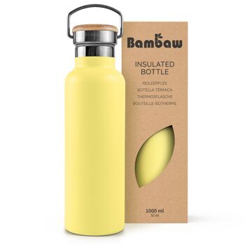 Stainless steel insulated bottle 46
