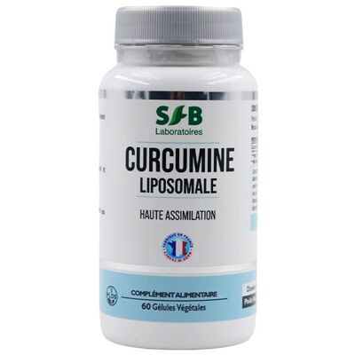 Liposomales Curcumin – 60 pflanzliche Kapseln