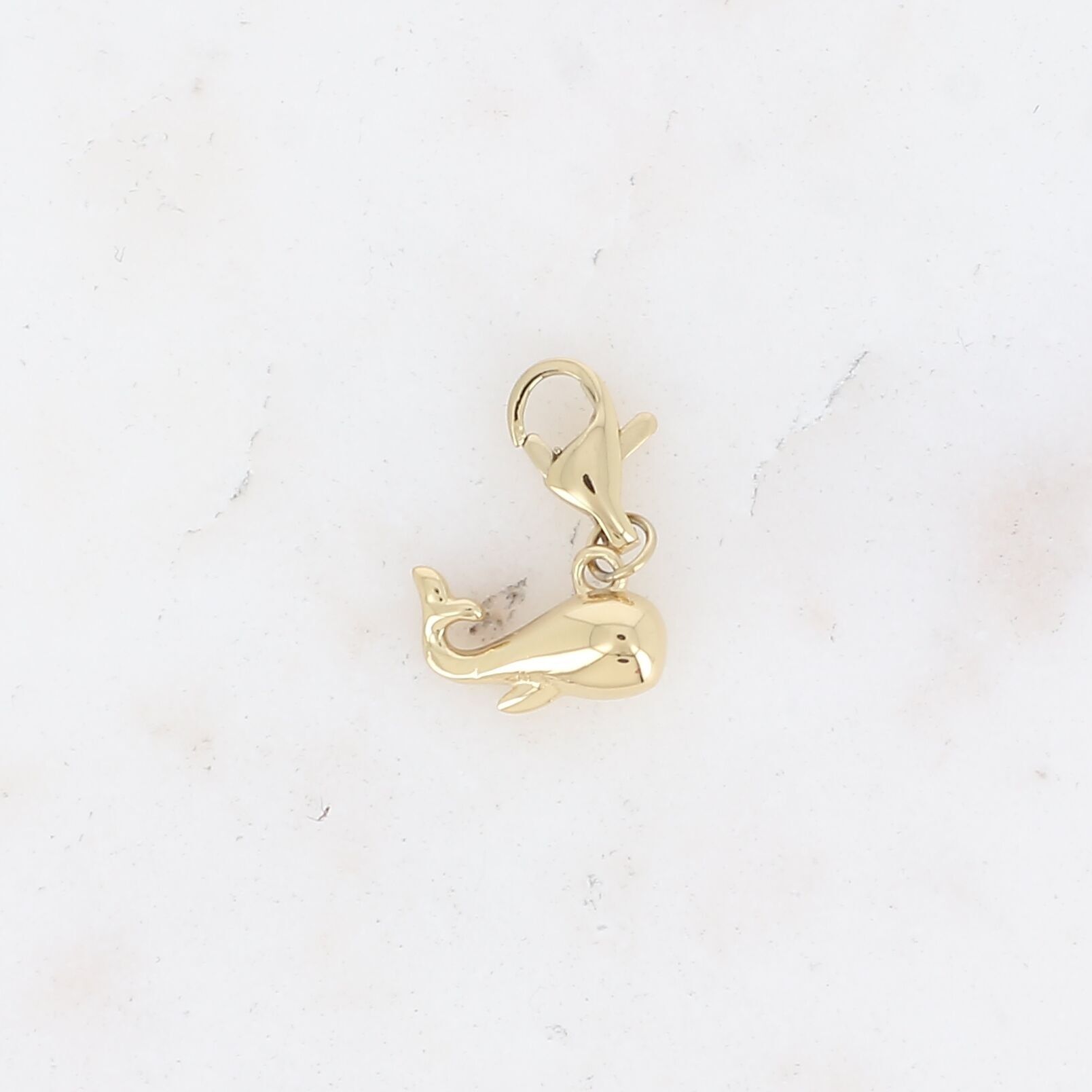 Fascino: piccola balena