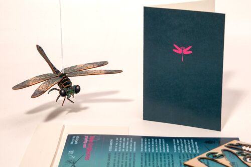 Libelle – 3D Deko Grußkarte