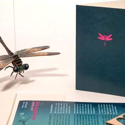 Dragonfly - 3D decorative greeting card