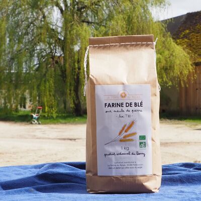 ORGANIC Wheat Flour - Bise T80 - 1 kg