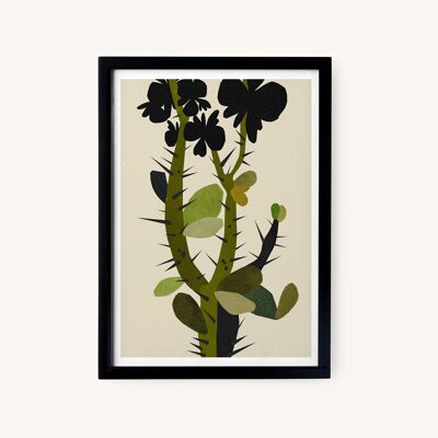 Illustration de succulentes