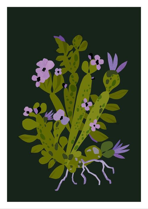 Illustration succulente fleurie