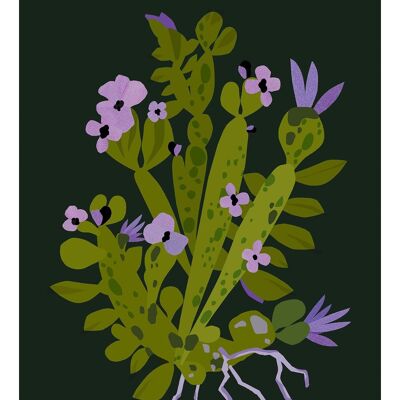 Illustration succulente fleurie