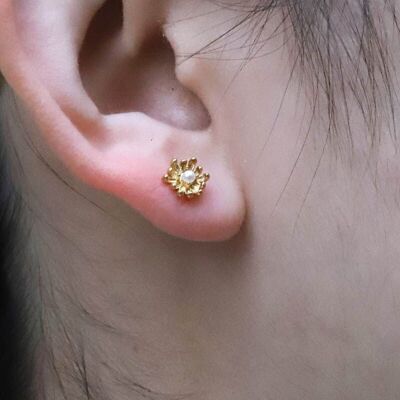 Domitia steel earrings