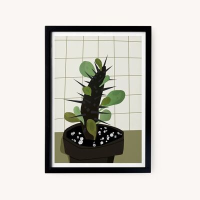 Illustration Cactus