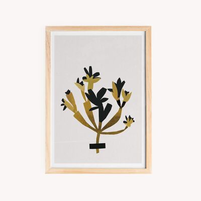 Illustration Plante Kraft