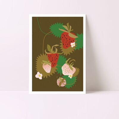 Illustration Food Fraises