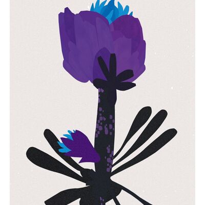 Illustration Fleur Violette