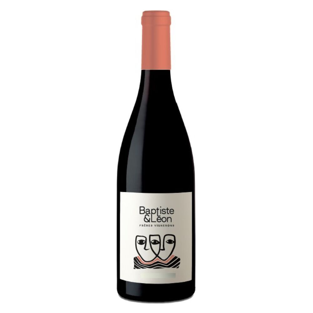 Vino Baptiste & Léon Le Rouge Domaine De Cels 75 cl