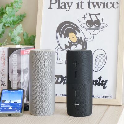 Geteilter Bluetooth-Lautsprecher von Steepletone