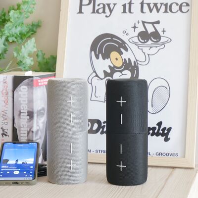 Steepletone Split Bluetooth Speaker