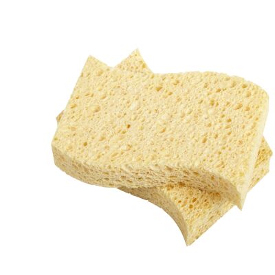 Biodegradable Kitchen Sponges - (Pack of 2)