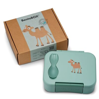 BentoBOX™, Enfants - Vert