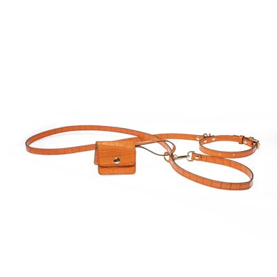 Dog Leash - Orange