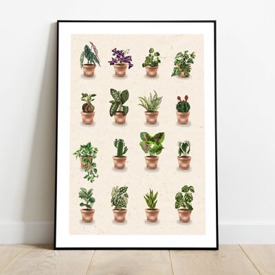Poster di piante da interno