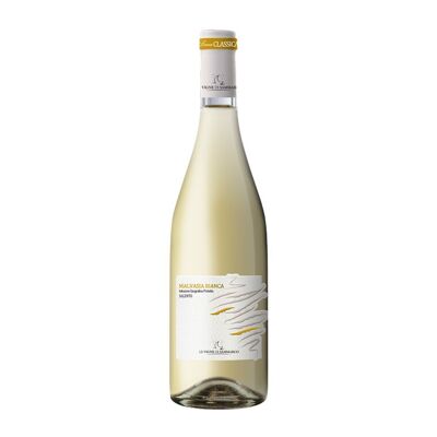 Malvasia Bianca - White Wine 2023