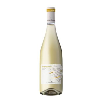 Malvasia Bianca Salento IGP 2023