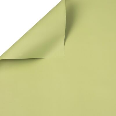 Foglio decorativo da avvolgere 58 cm x 58 cm, 20 pezzi - Verde